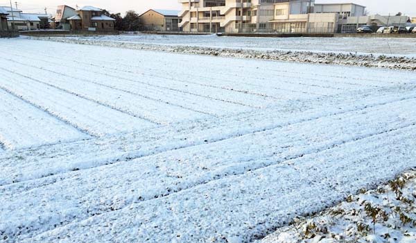 雪化粧