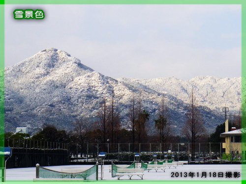 西部運動公園　20130120