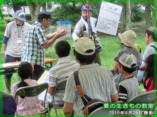 西部運動公園　20150830