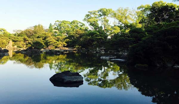 ゆりっぺ　御花庭園