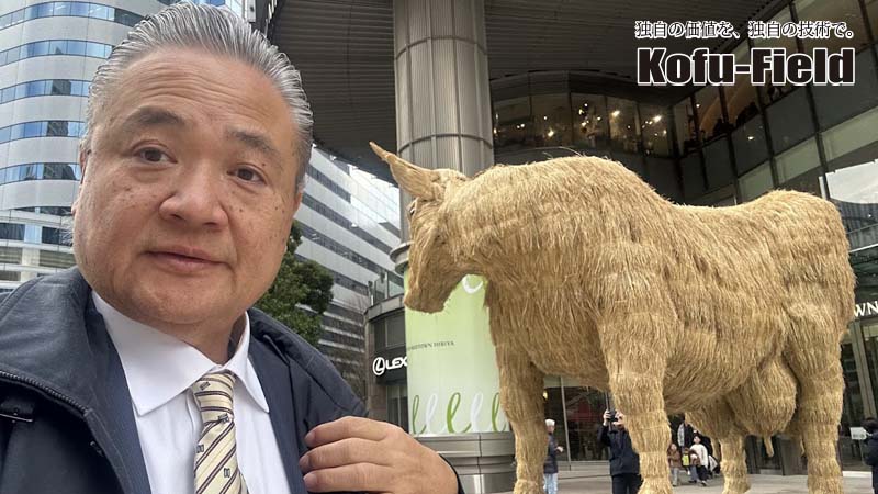 アメリカがWHO からの脱退表明。どうする日本！？