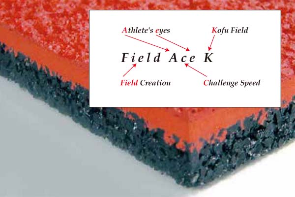 フィールドエースK