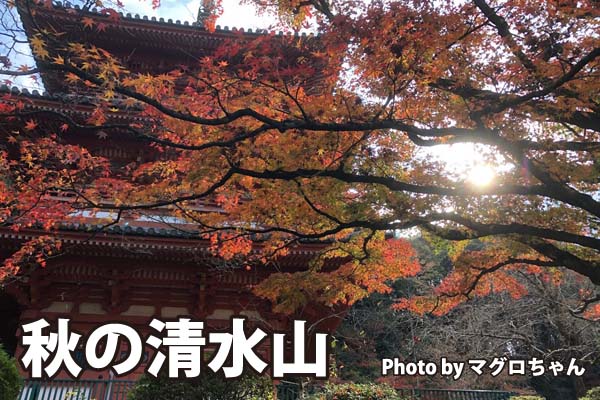 秋の清水山