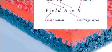 フィールドエースＫ