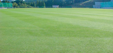 ジョージア・ハイブリッド