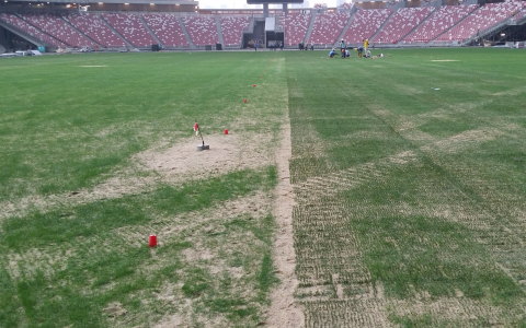 シンガポール ナショナルスタジアム シンガポール コウフ フィールドスタッフブログ